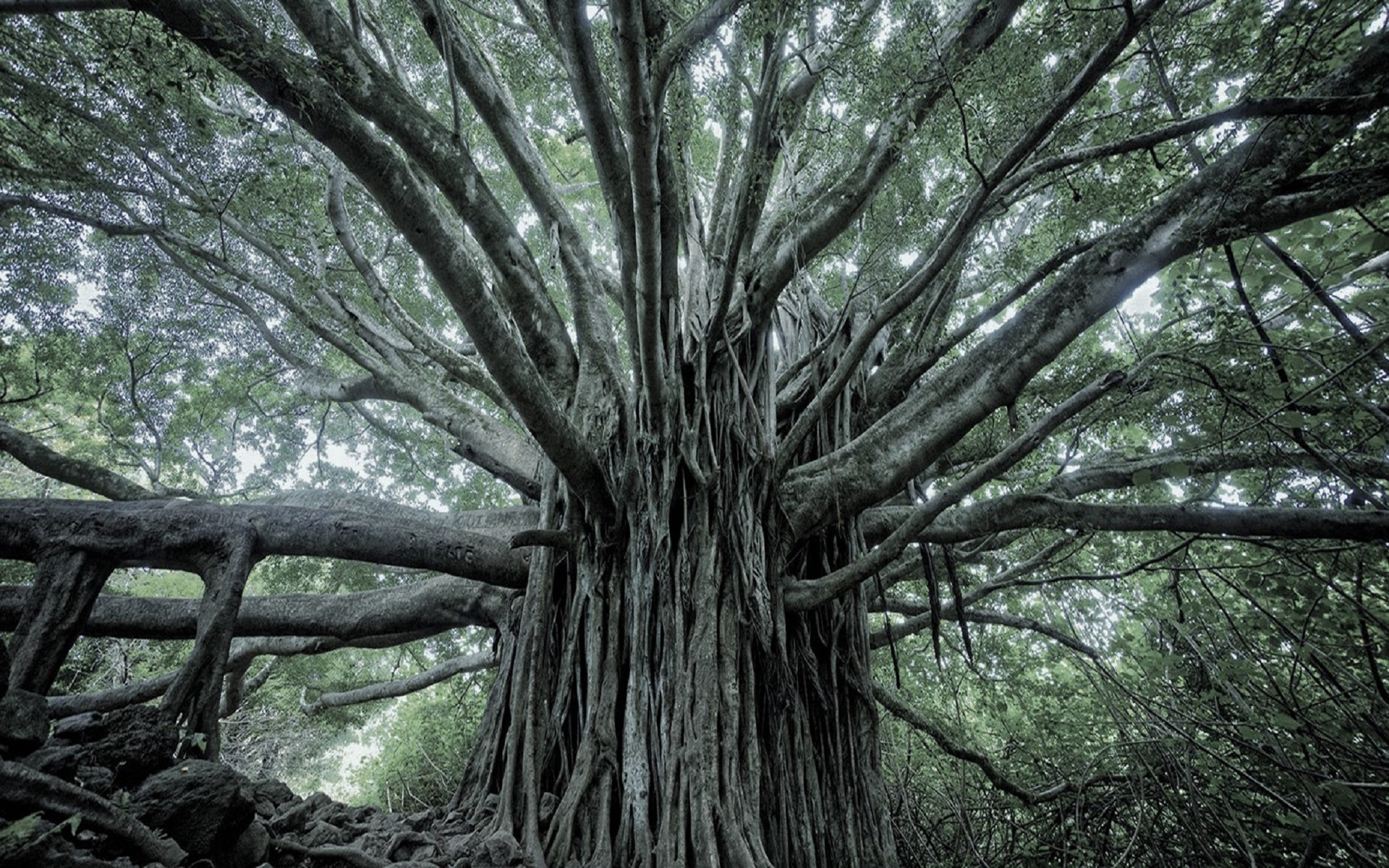 ವಿದ್ಯಾಭವನದ ಅನುಭವಗಳು - 8